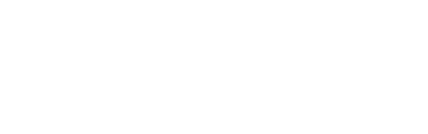 白雪姫リボン